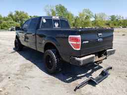 2010 FORD F-150