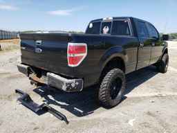 2010 FORD F-150