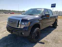2010 FORD F-150