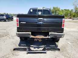 2010 FORD F-150