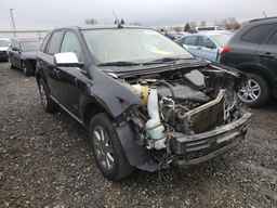 2007 LINCOLN MKX