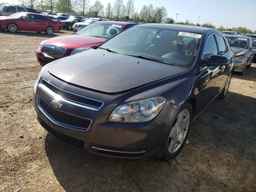 2010 CHEVROLET MALIBU