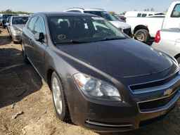 2010 CHEVROLET MALIBU