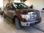 2009 FORD F-150