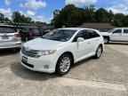2009 TOYOTA VENZA