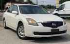 2009 NISSAN ALTIMA
