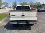 2013 FORD F-150 Lightning