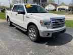 2013 FORD F-150 Lightning
