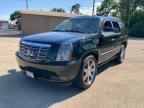 2010 CADILLAC ESCALADE