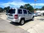 2010 JEEP Liberty