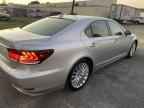 2013 LEXUS LS 460