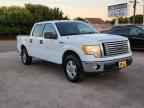 2010 FORD F-150 Lightning