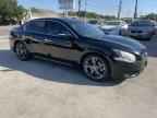 2013 NISSAN Maxima