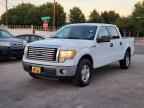 2010 FORD F-150 Lightning