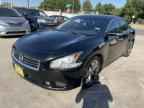 2013 NISSAN Maxima
