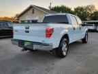 2010 FORD F-150 Lightning
