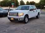 2010 FORD F-150 Lightning