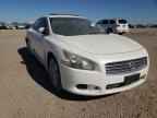 2010 NISSAN Maxima