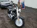 2005 HARLEY-DAVIDSON Flstfi
