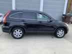 2009 HONDA CR-V