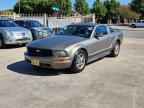2005 FORD MUSTANG