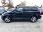 2009 HONDA CR-V