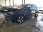2020 LEXUS Nx