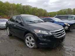 2011 HONDA ACCORD