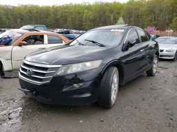 2011 HONDA ACCORD