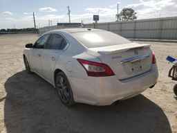 2010 NISSAN Maxima