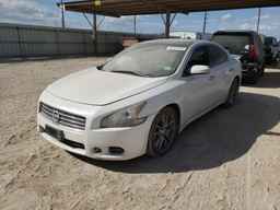 2010 NISSAN Maxima