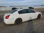 2004 NISSAN Maxima