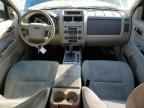 2010 FORD ESCAPE