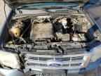 2010 FORD ESCAPE
