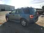 2010 FORD ESCAPE