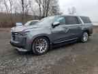 2021 CADILLAC ESCALADE