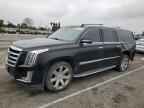 2016 CADILLAC ESCALADE