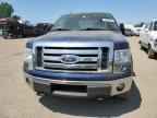2009 FORD F-150