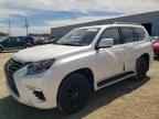 2023 LEXUS Gx