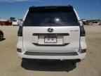 2023 LEXUS Gx