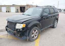 2010 FORD ESCAPE XLT V6