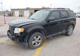 2010 FORD ESCAPE XLT V6