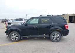 2010 FORD ESCAPE XLT V6