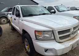 2011 DODGE DAKOTA SXT CREW CAB