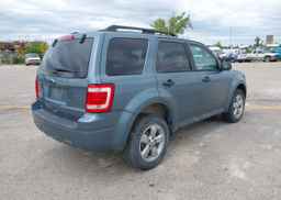 2012 FORD ESCAPE XLT