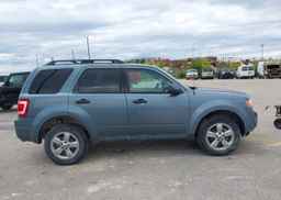 2012 FORD ESCAPE XLT