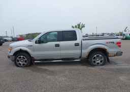 2010 FORD F150 XLT SUPERCREW