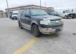 2009 FORD EXPEDITION EDDIE BAUER
