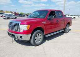 2011 FORD F150 XLT SUPERCREW