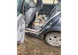 2004 CHEVROLET MALIBU LS V6